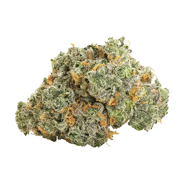 Bud image for Blueberry Dream, cannabis dried flower by Big Bag O' Buds