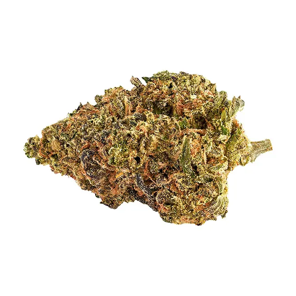 Blueberry Muffinz (Dried Flower) by 3Saints