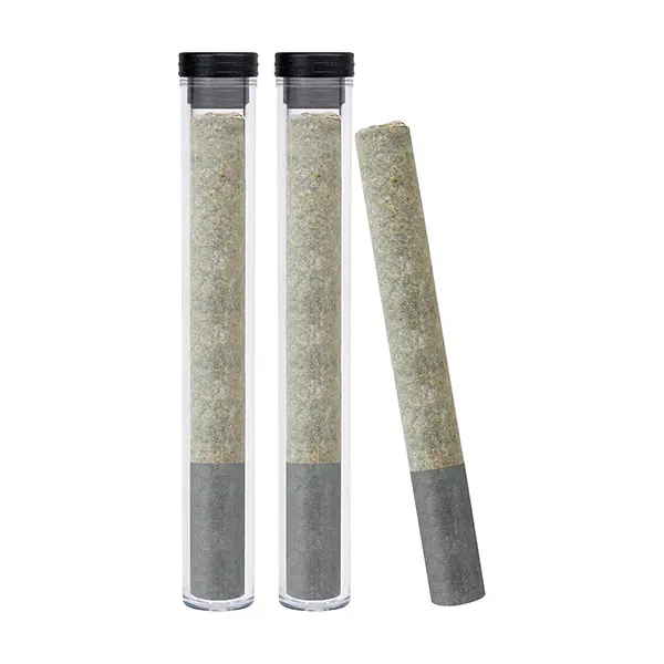 Image for Diesel Orchid + Live Resin + Diamond Infused Pre-Roll, cannabis pre-rolls by Dazed & Infused