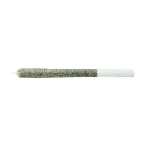 Image for The Jeffrey Pre-Roll