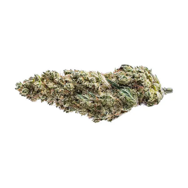 Blue Dream #16 (Dried Flower) by Pure Sunfarms