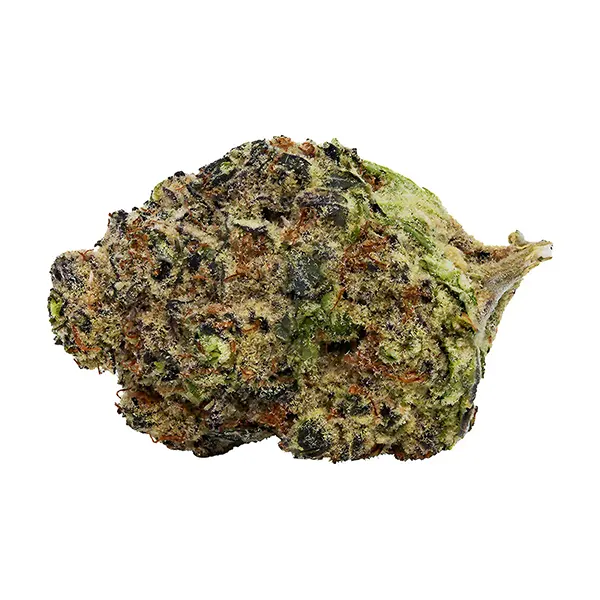 Bud image for Bollywood, cannabis dried flower by Lowbanks Grow