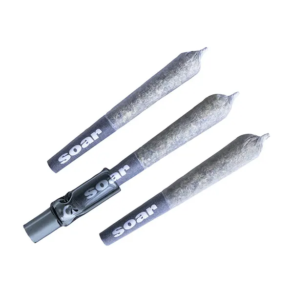 Brain Cake Pre-Roll (Pre-Rolls) by Soar