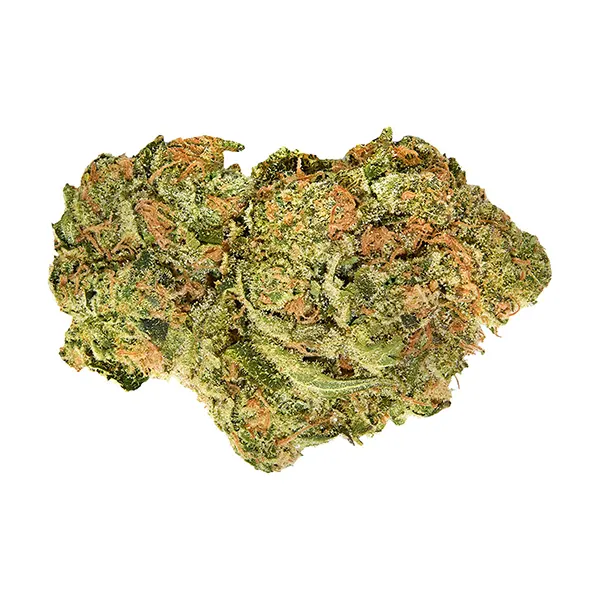 Brand New Buds (Dried Flower) by Good Supply