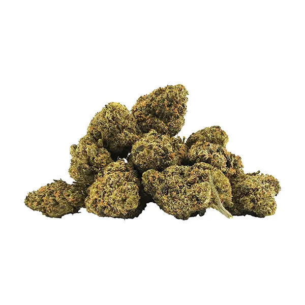 Image for Breathalyzer