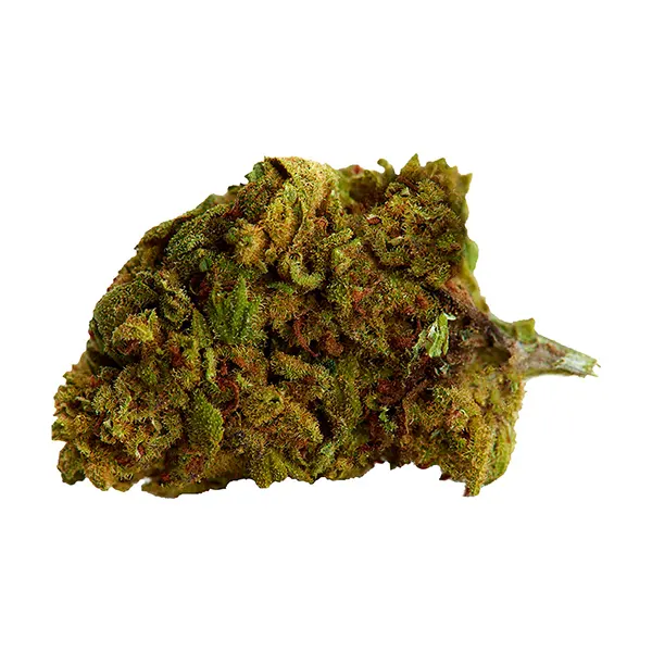 Bubba Kush (Dried Flower) by Versus