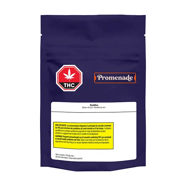 Buddies (Dried Flower) by Promenade