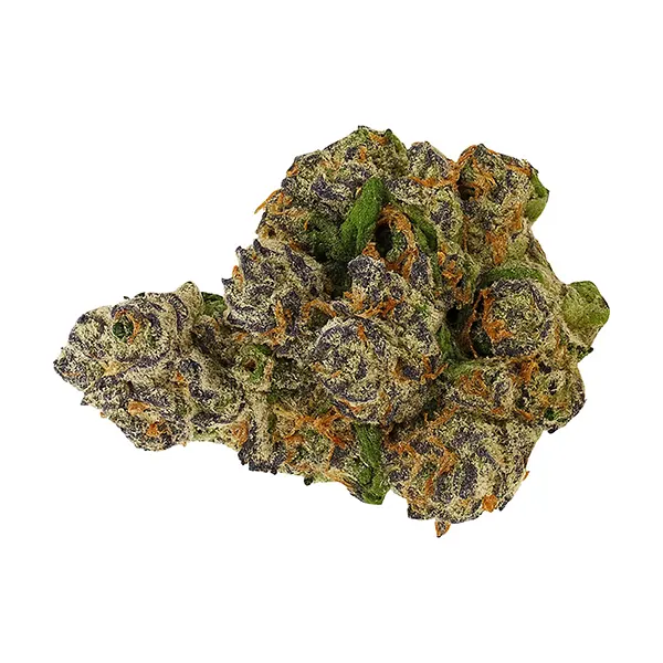 Buzz'd OG (Dried Flower) by Buzz'd