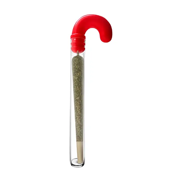 Image for Candycane Pre-Roll