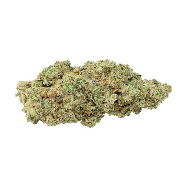 Image for Candy Gas Face x Masterpiece