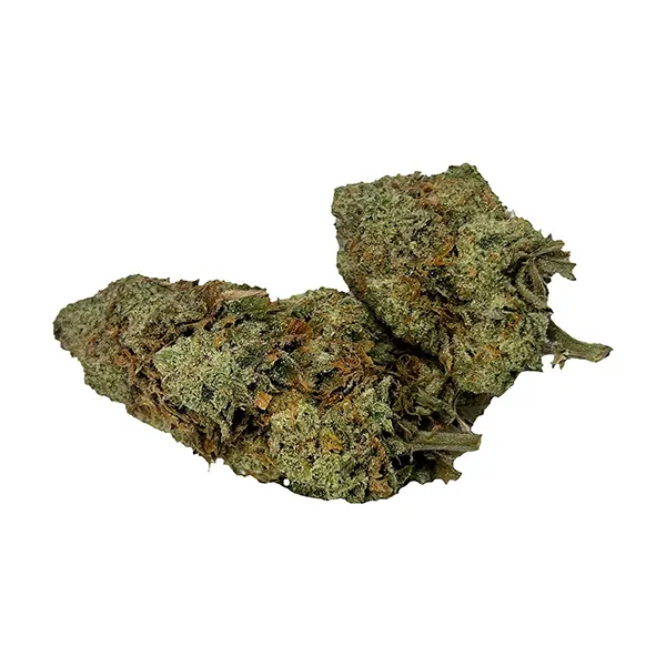 Image for CBD Super Lemon Haze