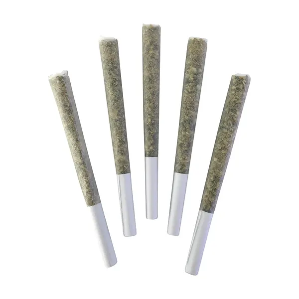 Image for Chemical Romance Pre-roll