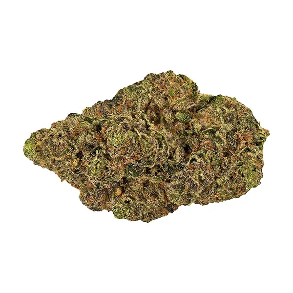 Bud image for Chiqui Milkshake, cannabis dried flower by Bud Lafleur