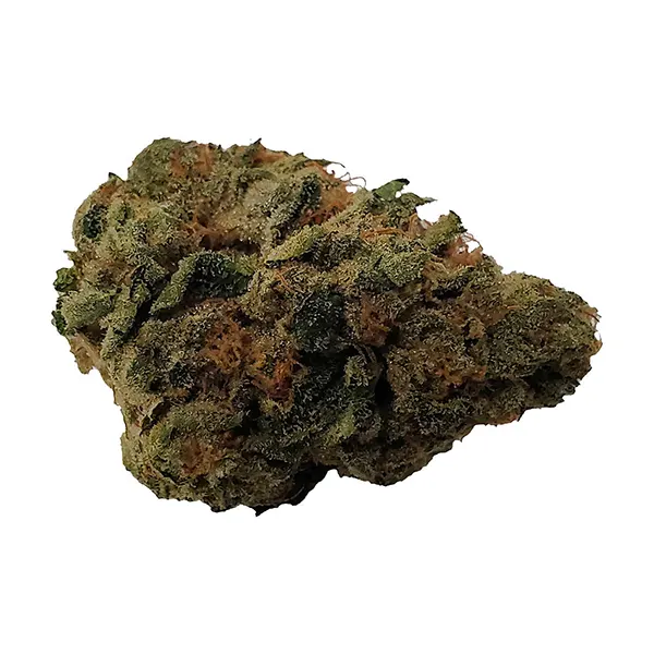 Chromatica (Dried Flower) by Color Cannabis