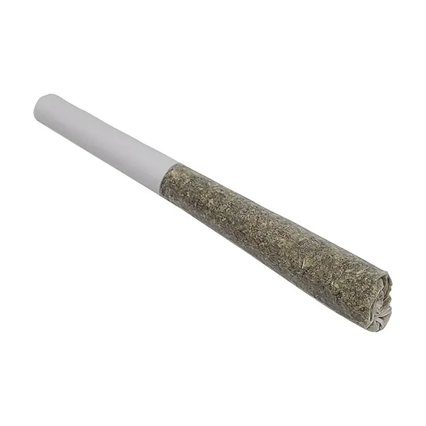 Image for Citrus Burst Pocket Rockets Infused Pre-roll, cannabis pre-rolls by Dime Bag