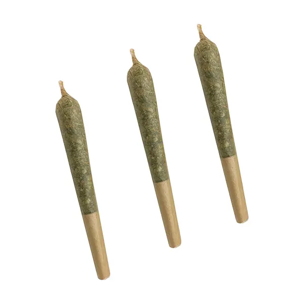 Image for Time Wreck Pre-Roll