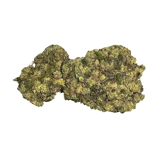 Image for Quantum Haze