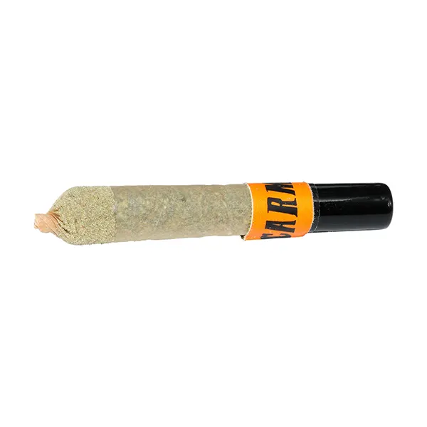 Image for CNDY Gas Face x Masterpiece Ceramic Tip Infused Pre-Roll, cannabis top rated in pre-rolls by Carmel