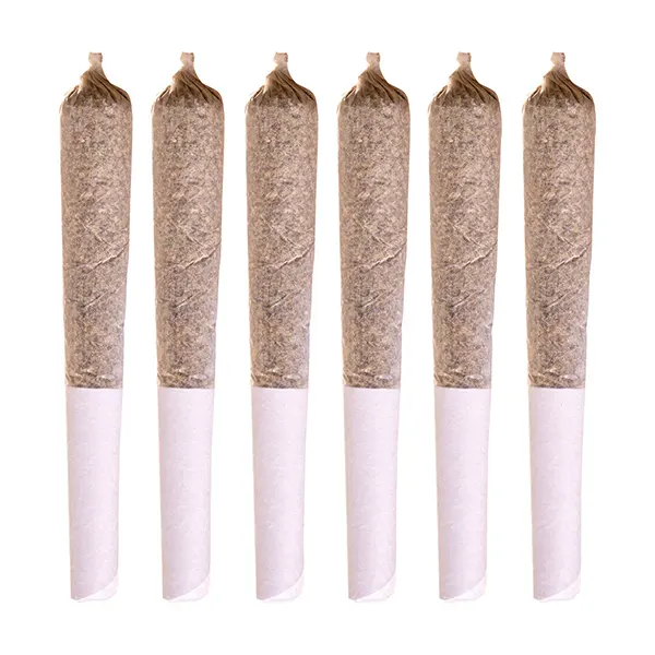 Coast To Coast Series Pre-Roll (Pre-Rolls) by Station House