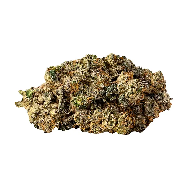 Image for Cobra Chicken Budskis