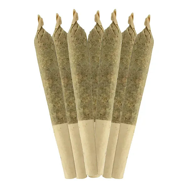 Coffin Candy Pre-Roll (Pre-Rolls) by Sheeesh!