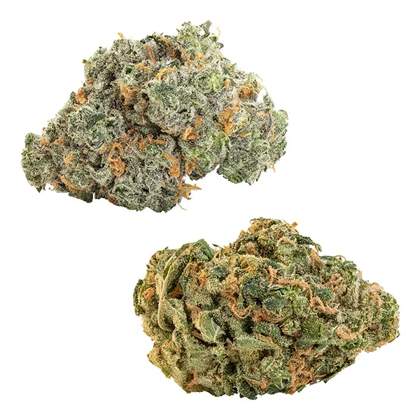 Bud image for Comboz: Ultra Sour + Blueberry Dream, cannabis dried flower by Big Bag O' Buds