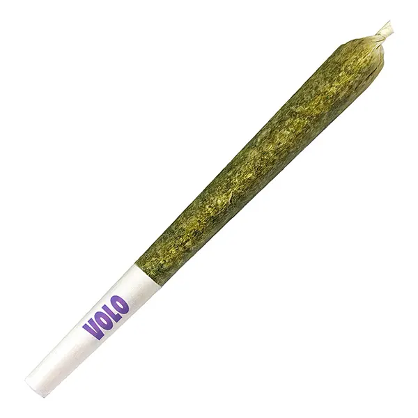 Commando Pre-Roll (Pre-Rolls) by Volo