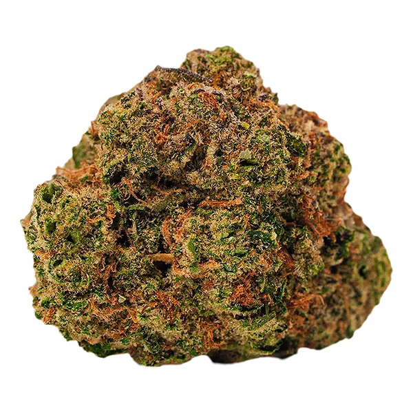 Cool Aid Kush (Dried Flower) by BOLD