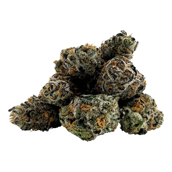 Image for Cosmic Slurbert Smalls