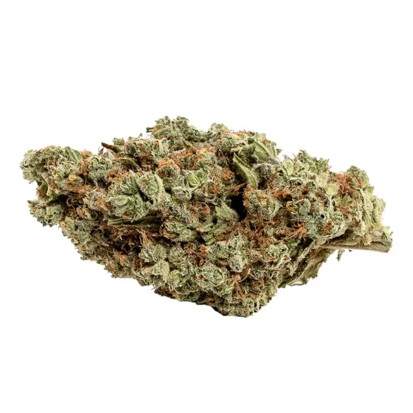 Image for Couch Potato