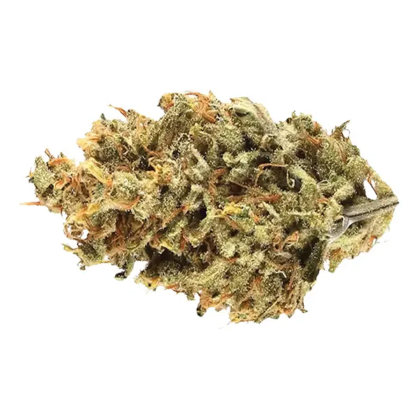 Cranberry Cough