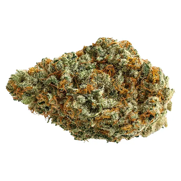 Bud image for D. Burger, cannabis all products by The Original Fraser Valley Weed Co.