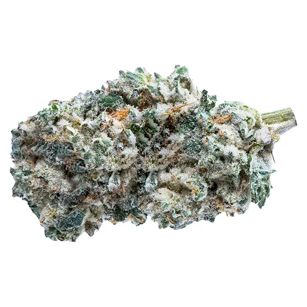 Bud image for Kush Breath, cannabis all products by The Original Fraser Valley Weed Co.