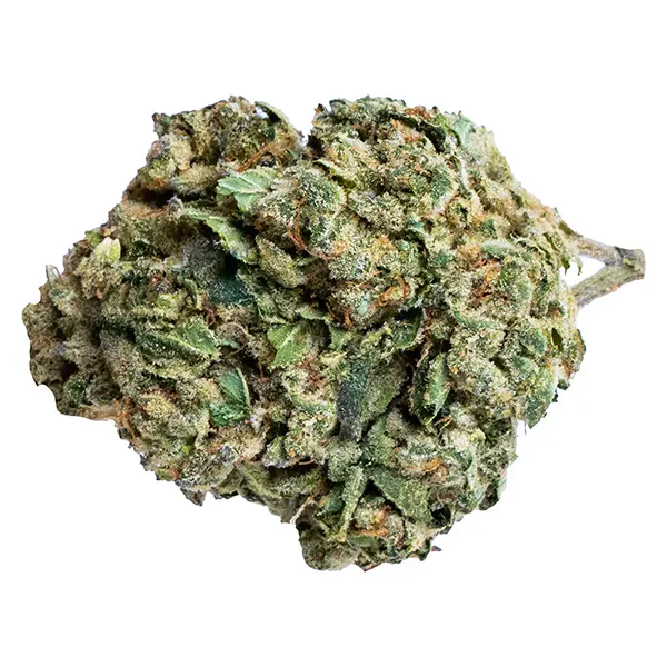 Death Punch (Dried Flower) by Soar