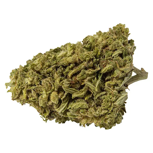 Infused Premium CBD Flower (Dried Flower) by WholeHemp