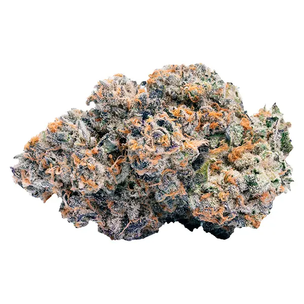 Bud image for Devil's Driver, cannabis dried flower by BLKMKT