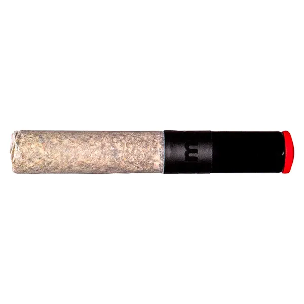 Image for Diamond Pave Ceramic Tip Cannon Pre-Roll, cannabis pre-rolls by BLKMKT