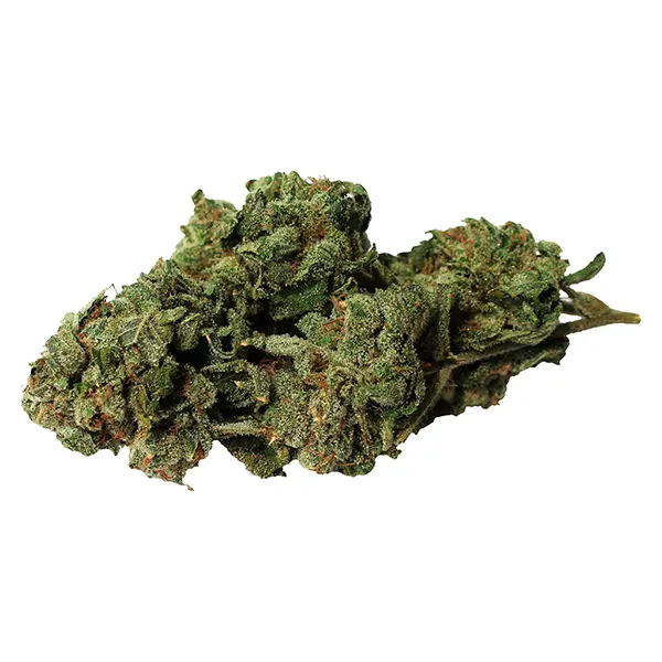 Image for Double Donny