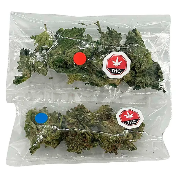 Image for Multipack of Madness