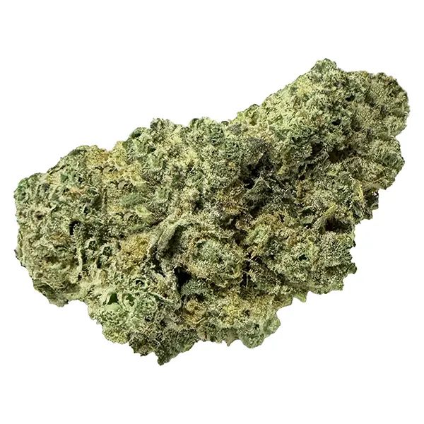 Bud image for Fatty Cakes, cannabis dried flower by Terp Town Collective