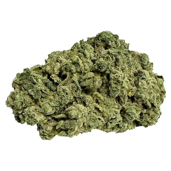 Bud image for Frozen Grapes, cannabis all products by Fruit Drops