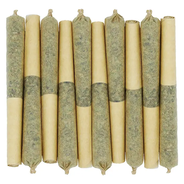 Star Chase Pre-Roll (Pre-Rolls) by Starting Point