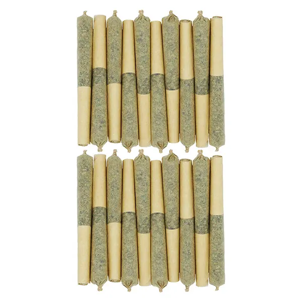 Star Chase Pre-Roll (Pre-Rolls) by Starting Point
