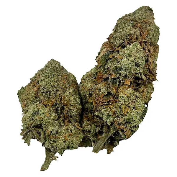 Image for Honah Lee Haze