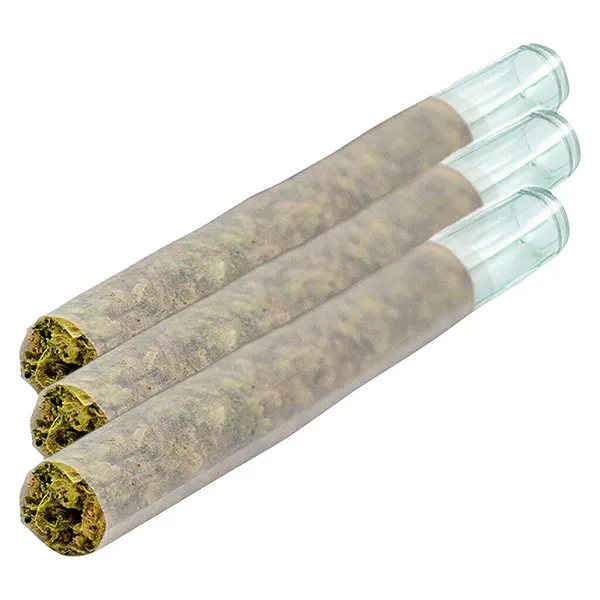 Image for Magik Dragon Glass Tip Pre-Roll