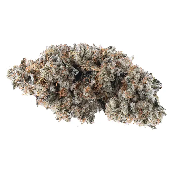 Bud image for Frosted Guava Nuts, cannabis all products by Northern Canna