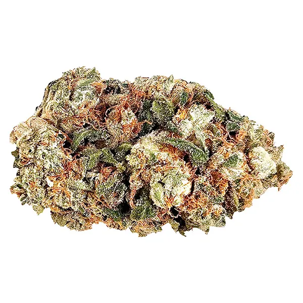 Bud image for Frosted Gumbo, cannabis dried flower by BC Green