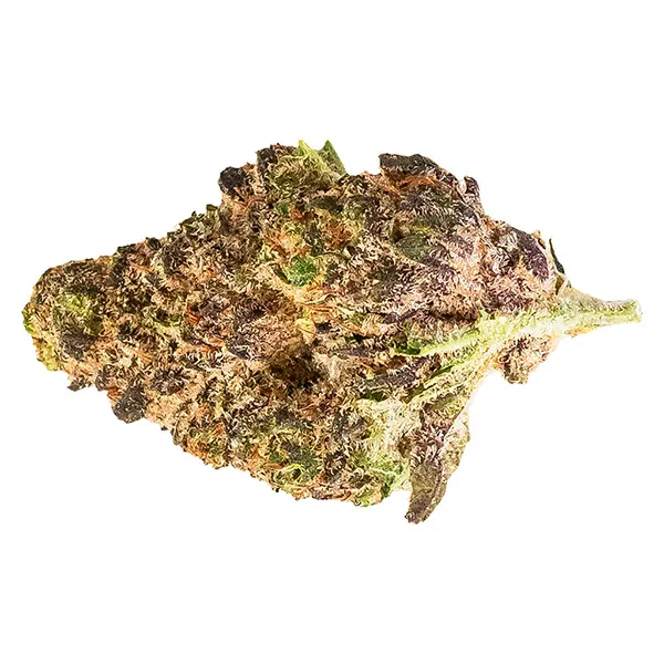 Frosted Lemons (Dried Flower) by 3Saints