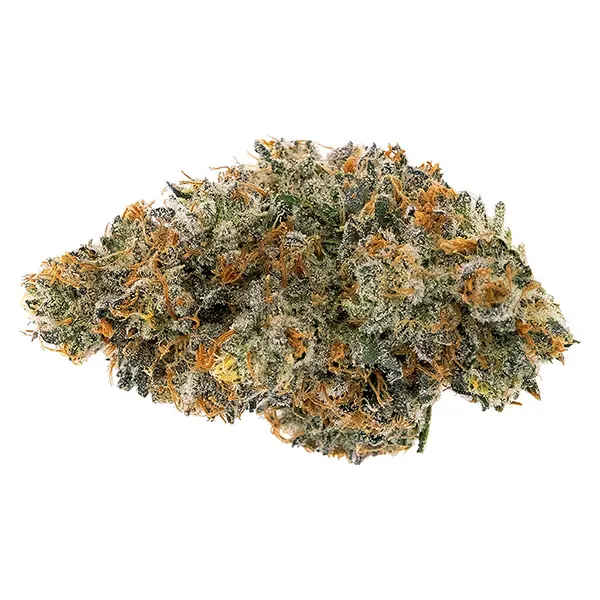 Bud image for Frosted Tiger Nuts, cannabis all products by Northern Canna