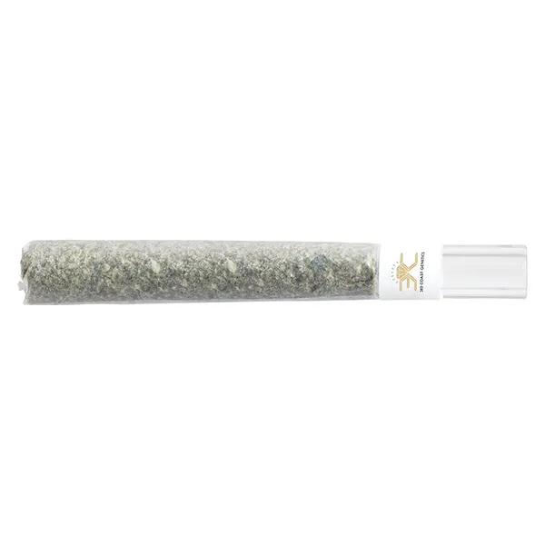 Frozen Cola Glass Tip Pre-Roll (Pre-Rolls) by 3rd Coast Genetics
